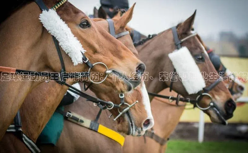 K体育最新网站荣信文化足球运动员王启能简历：个人经历、荣誉和职业生涯详解