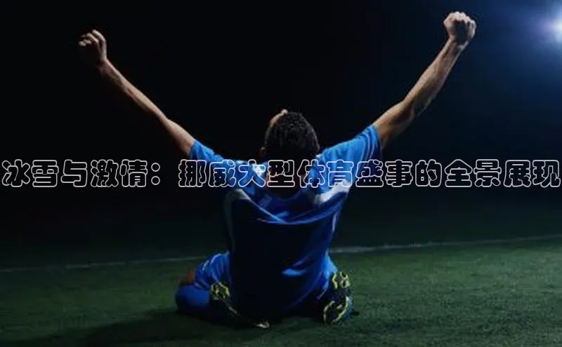 冰雪与激情：挪威大型体育盛事的全景展现