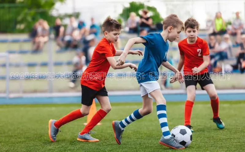 2023年国际大型运动赛事年度排名：哪些项目最引人瞩目？