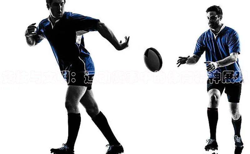 竞技与文明：运动赛事中的体育精神展现