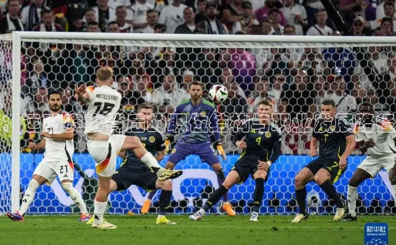 ：运动赛事背后的职位结构与职业发展路径