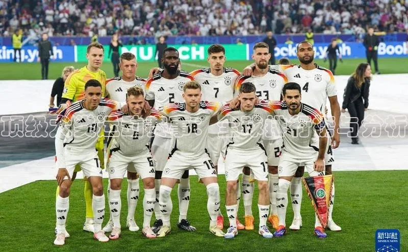 顶级犬类运动赛事：全球排行榜与分析