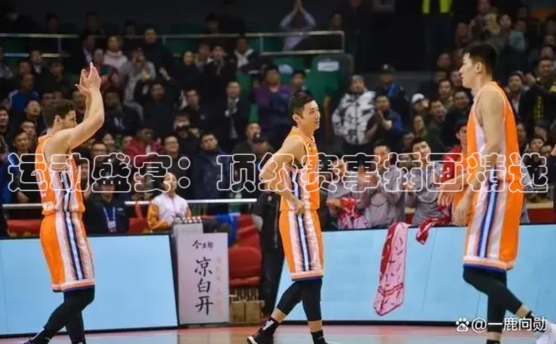 运动盛宴：顶级赛事插画精选