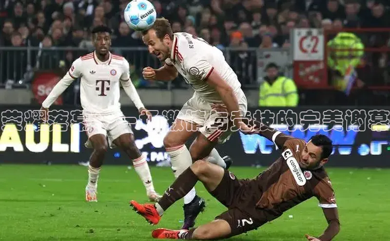 荣耀落幕：一场激情与竞技的完美谢幕