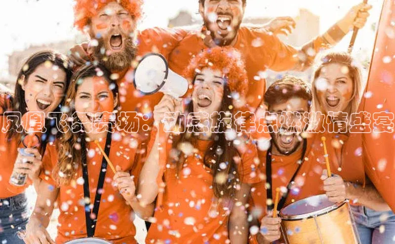 凤凰飞舞赛场：动感旋律点燃激情盛宴