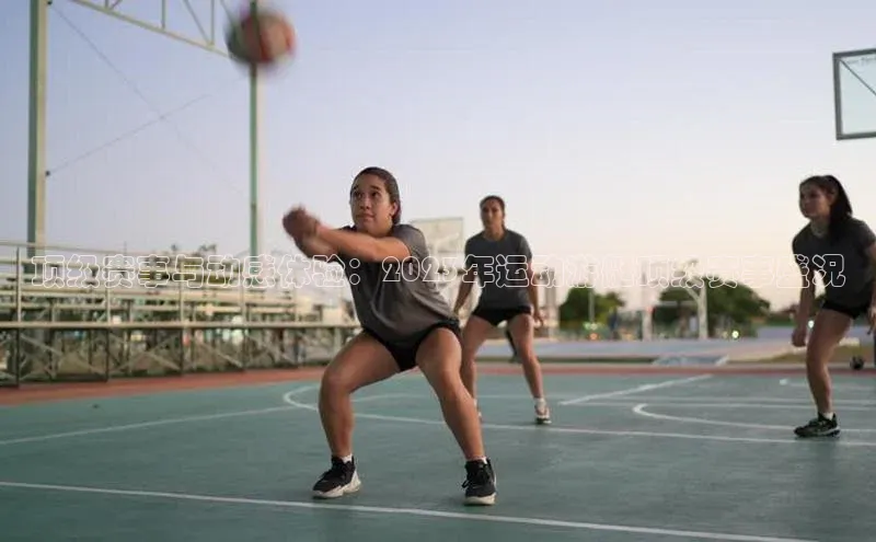 顶级赛事与动感体验：2023年运动游艇顶级赛事盛况