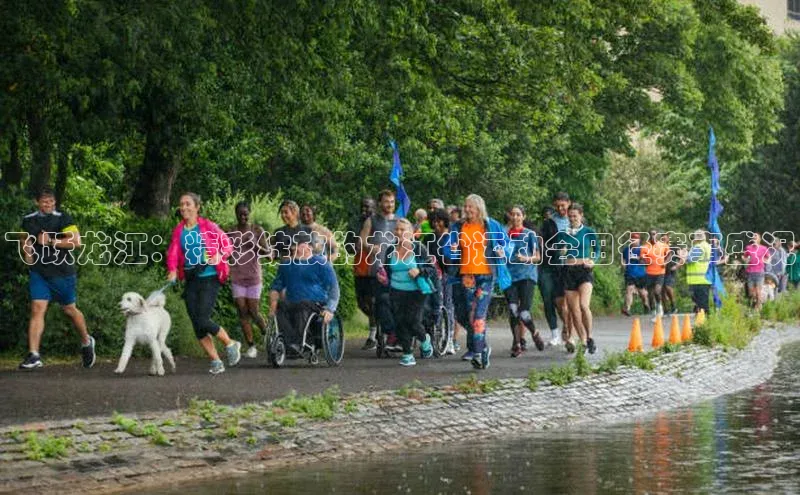 飞跃龙江：精彩绽放的龙江省运动会田径赛事盛况