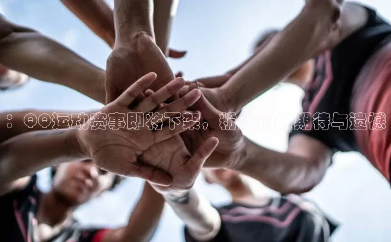 k1体育登录入口网页版