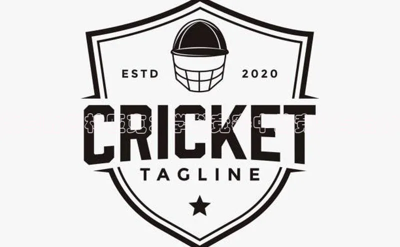 k1体育官网入口网址