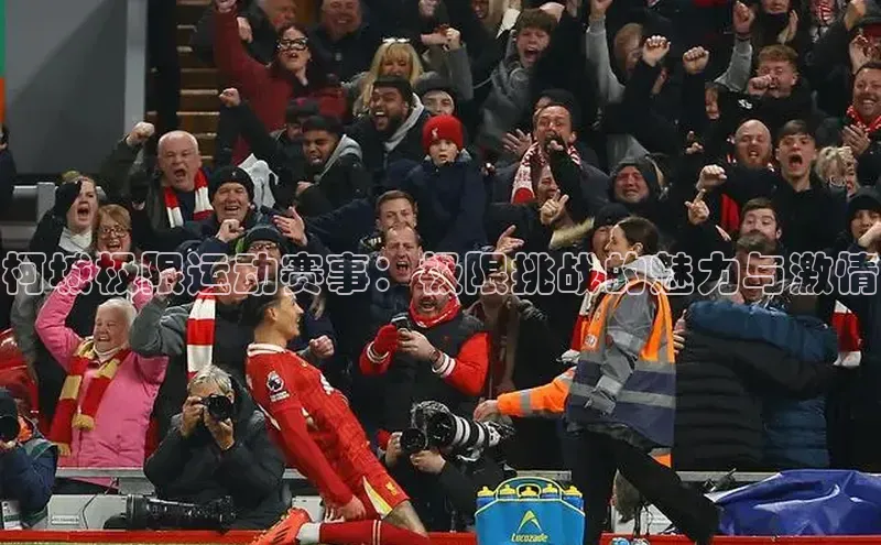 柯城极限运动赛事：极限挑战的魅力与激情