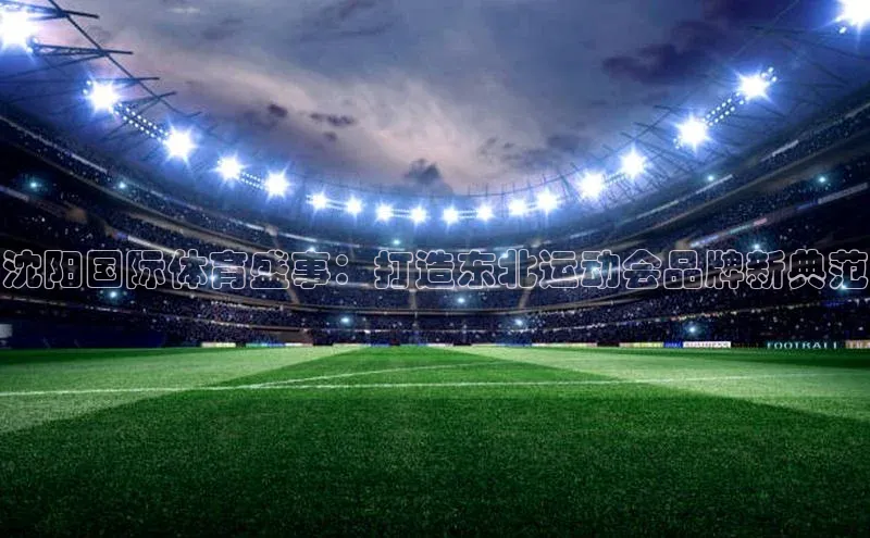 沈阳国际体育盛事：打造东北运动会品牌新典范
