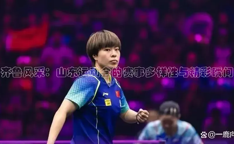 齐鲁风采：山东运动会的赛事多样性与精彩瞬间